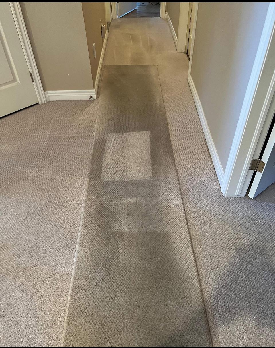 Cleaned carpet